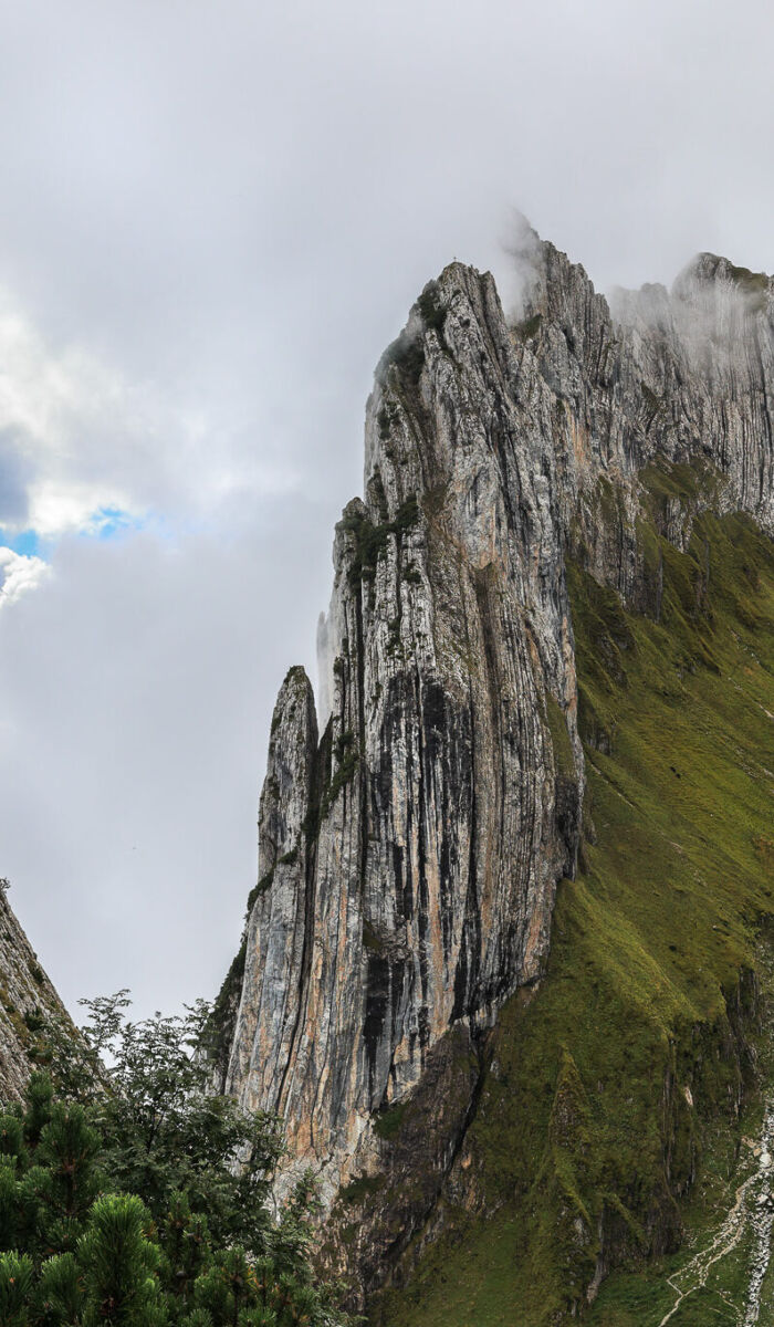 Getty Images 1423952183